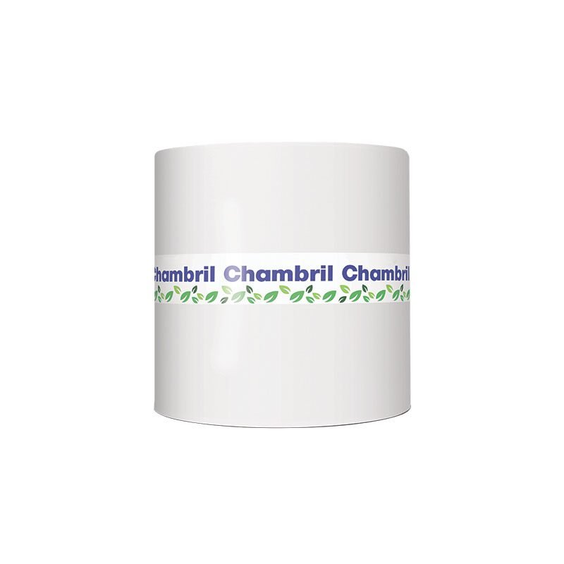 champion paper